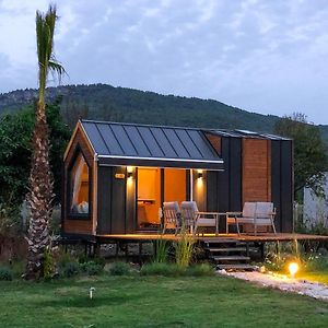 Albizia Boutique Hotel